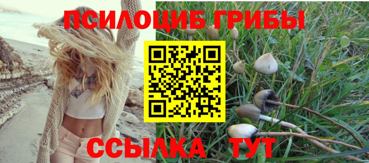 Кыштым  Галлюциногенные грибы ЛСД  наркотики  Вход с VPN 
