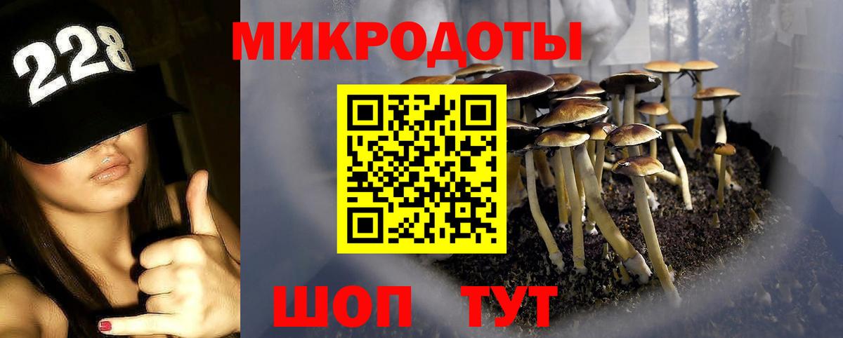 Галлюциногенные грибы MAGIC MUSHROOMS Кыштым